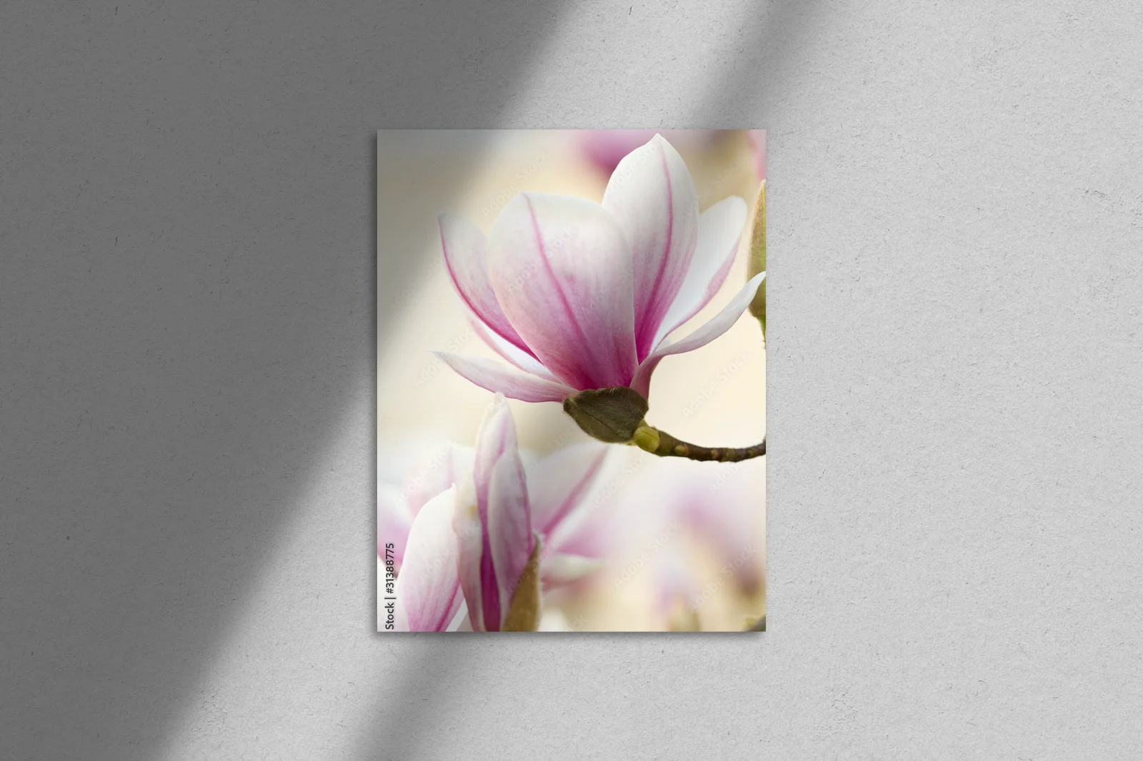 Elegancka atmosfera magnolii w stonowanych barwach