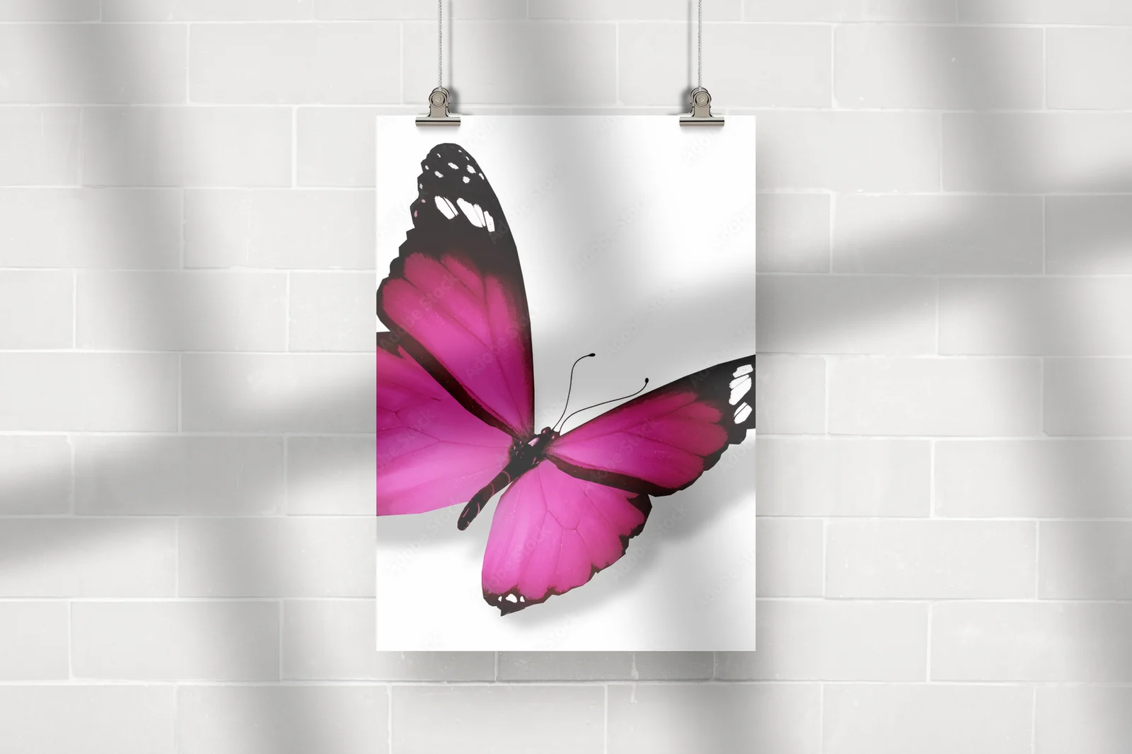 Delikatny fioletowy motyl na białym tle