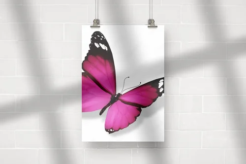 Delikatny fioletowy motyl na białym tle