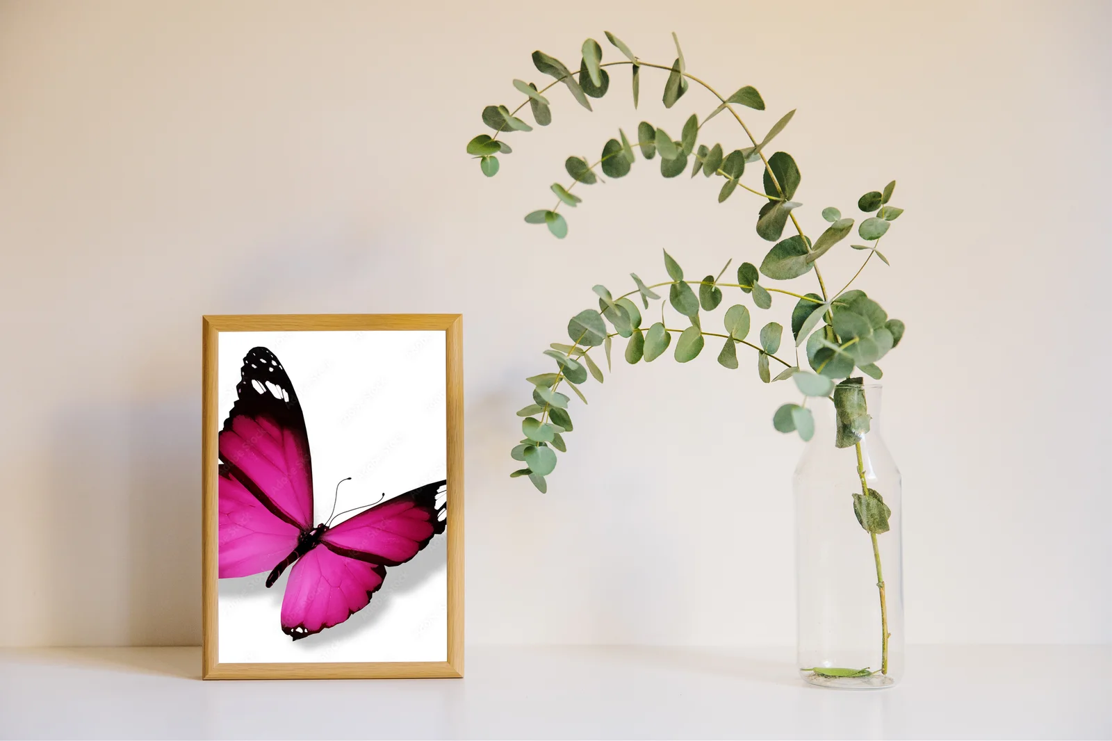Delikatny fioletowy motyl na białym tle