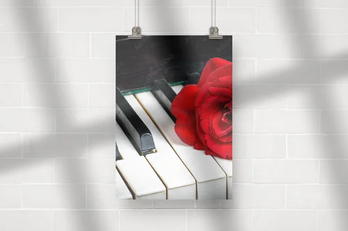 Muzyczna elegancja: róż w harmonijnej tonacji