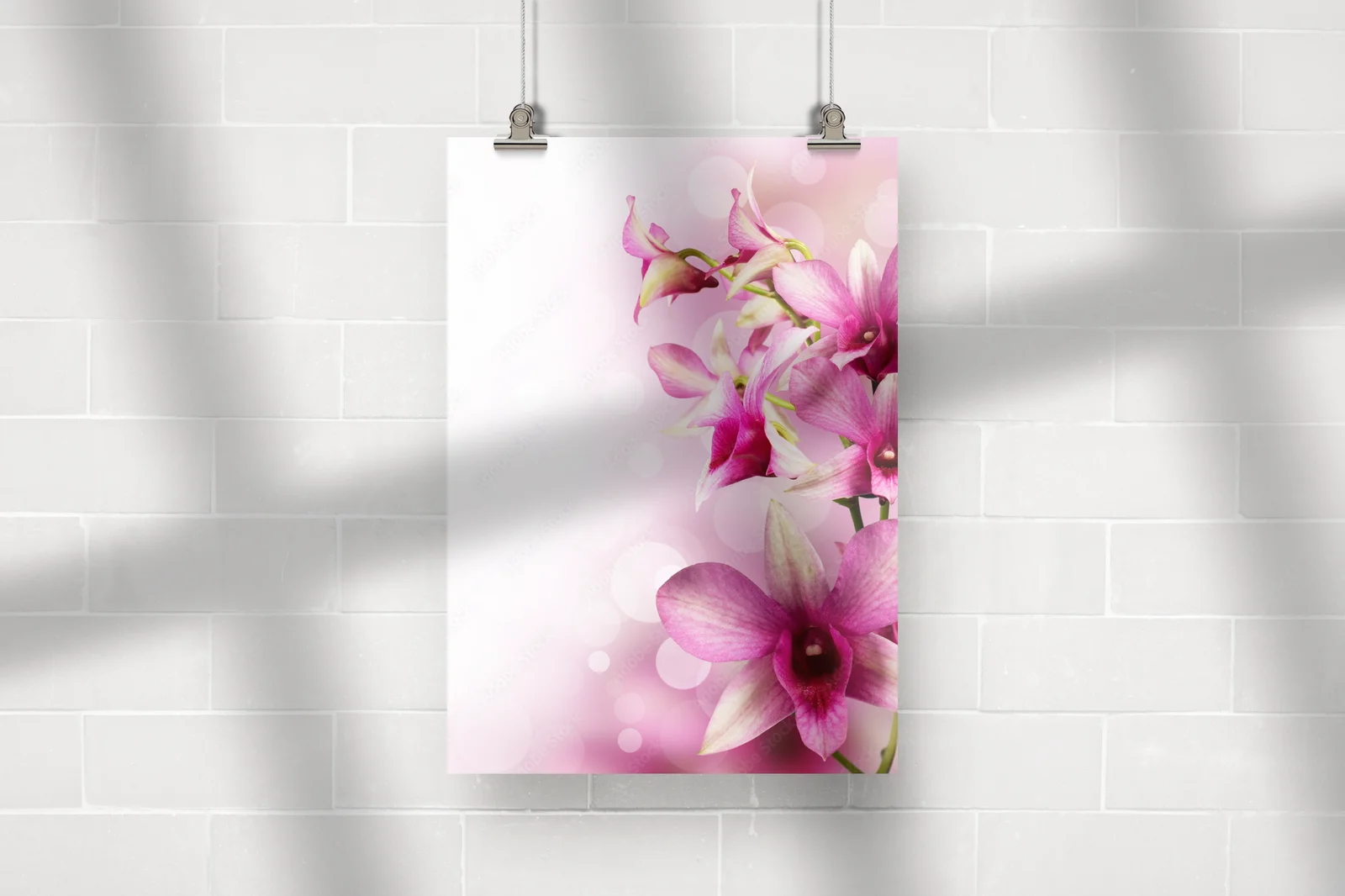 Egzotyczne orchidee w delikatnych barwach