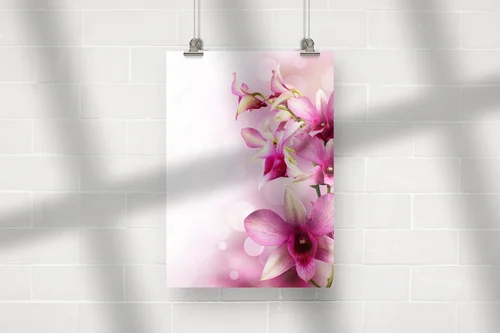 Egzotyczne orchidee w delikatnych barwach
