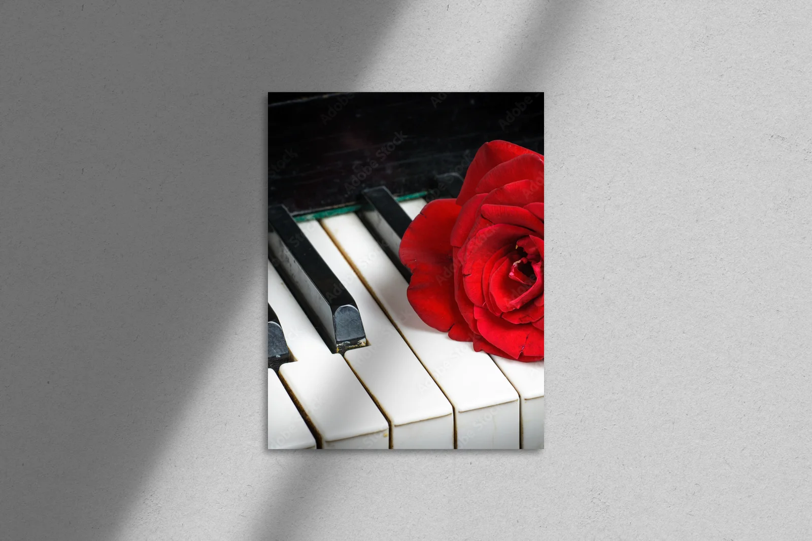 Muzyczna elegancja: róż w harmonijnej tonacji