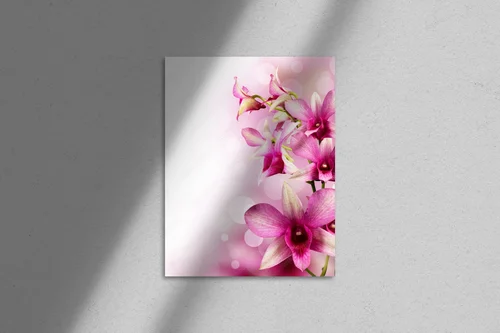 Egzotyczne orchidee w delikatnych barwach