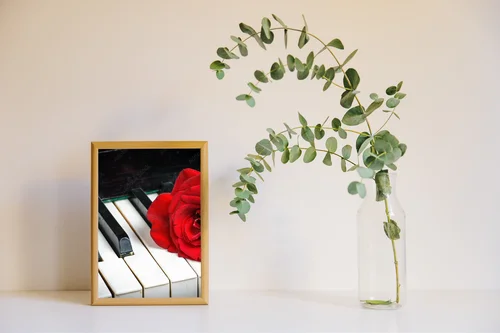 Muzyczna elegancja: róż w harmonijnej tonacji