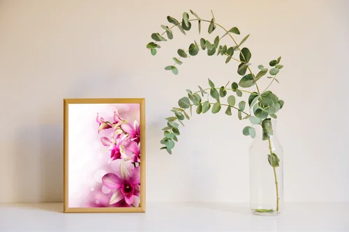 Egzotyczne orchidee w delikatnych barwach