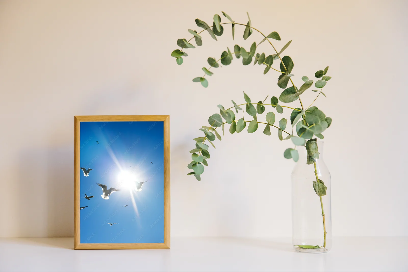 Flock of Freedom: Ptaki w Jasnych Barwach