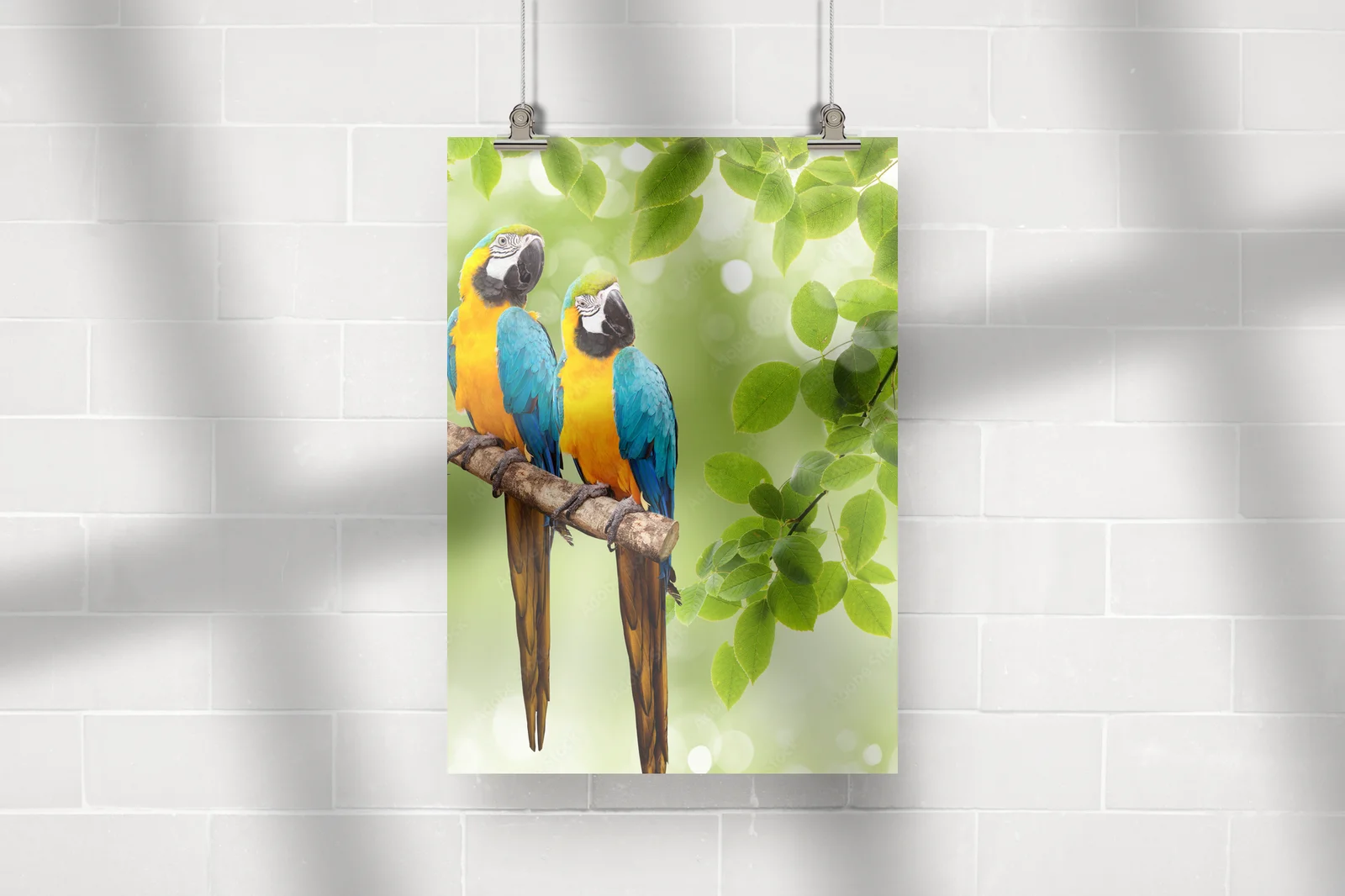 Tropikalny macaw w pastelowym otoczeniu natury