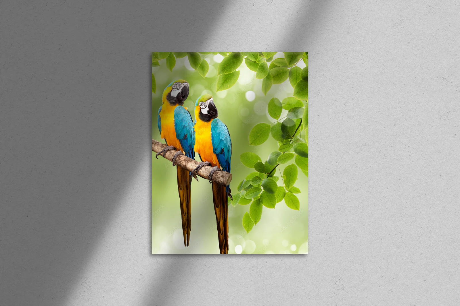 Tropikalny macaw w pastelowym otoczeniu natury