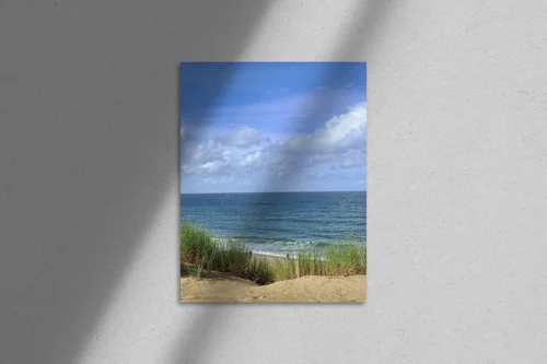 Harmonia błękitu z naturą na północnych plażach