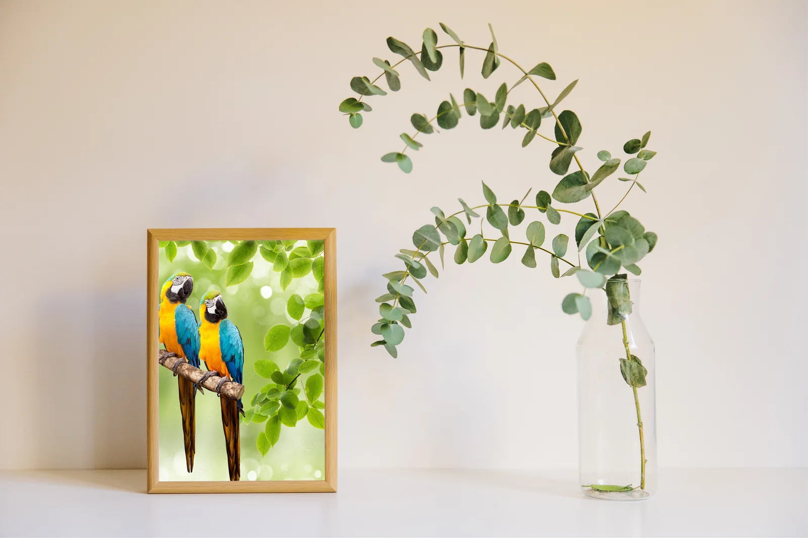 Tropikalny macaw w pastelowym otoczeniu natury