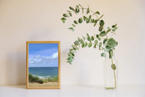 Harmonia błękitu z naturą na północnych plażach