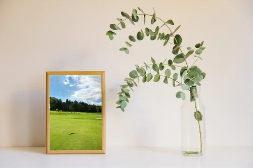 Nostalgiczna podróż po słonecznym polu golfowym