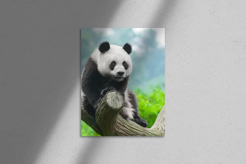 Urocza panda na wroczywych gałęziach drzew