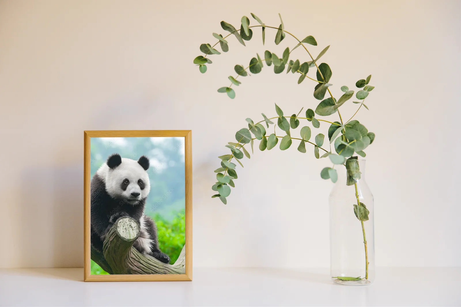 Urocza panda na wroczywych gałęziach drzew