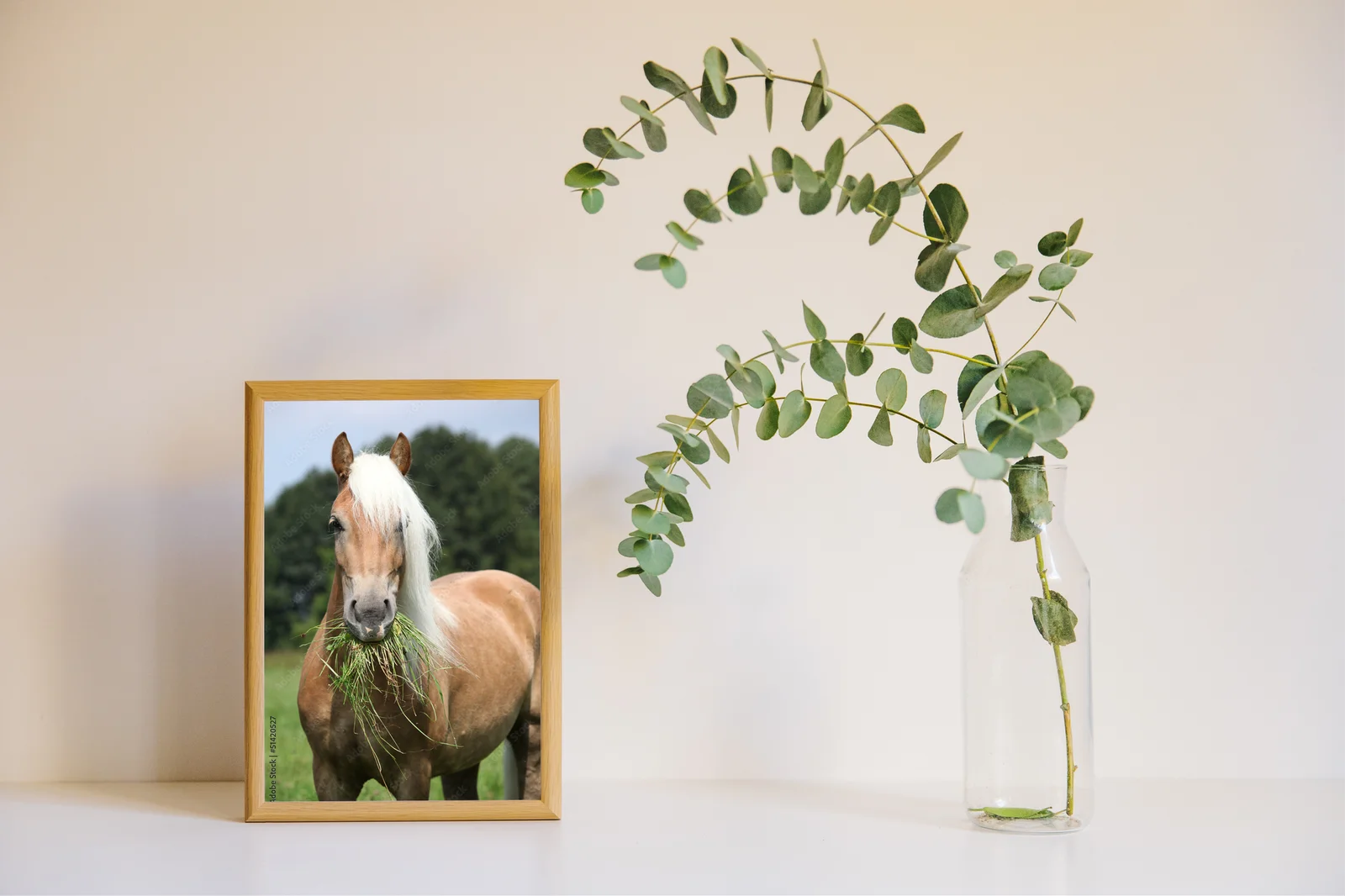 Wspaniała chwila: Haflinger w pastelowej scenerii