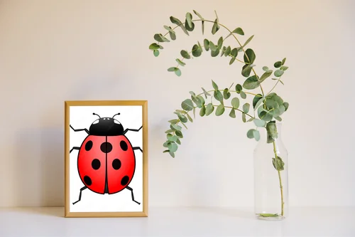 Karciana ilustracja z motywem biedronki