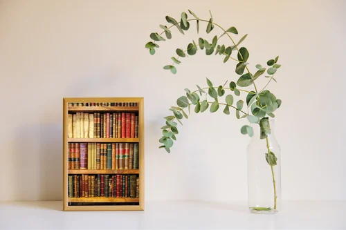 Nostalgiczna podróż w świat starej biblioteki