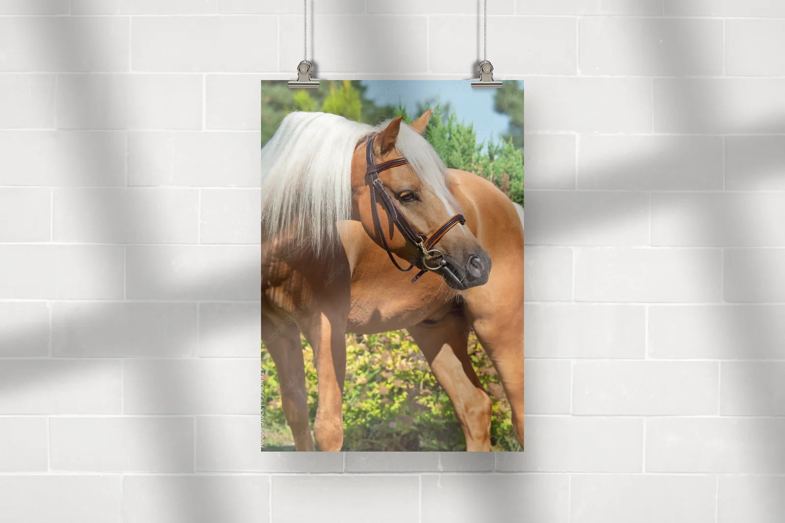 Palomino Welsh Pony w letnim blasku