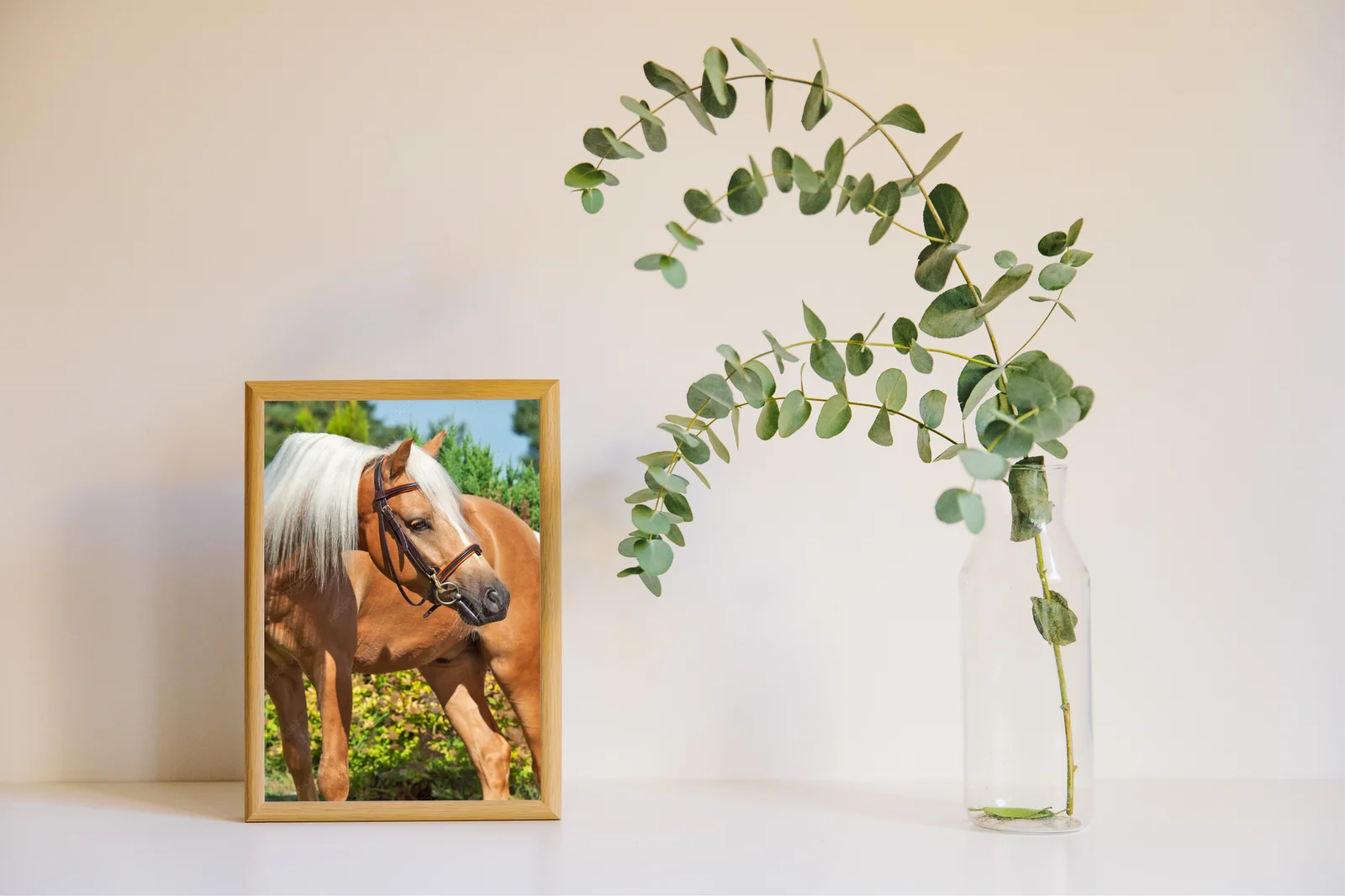 Palomino Welsh Pony w letnim blasku