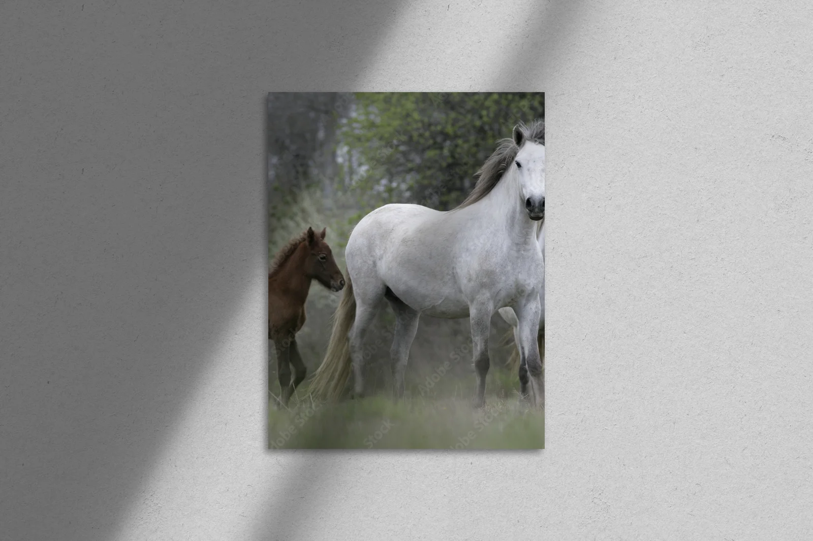 Ogniste serce Camargue w odcieniach szarości
