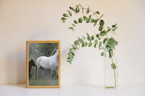 Ogniste serce Camargue w odcieniach szarości