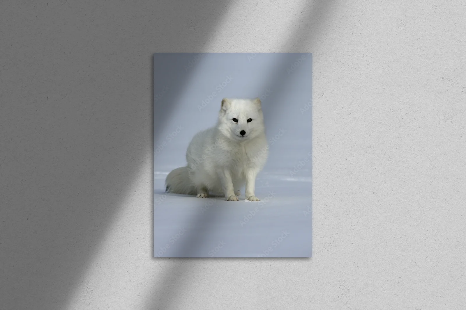 Arctic Fox: Esencja zimowych krajobrazów