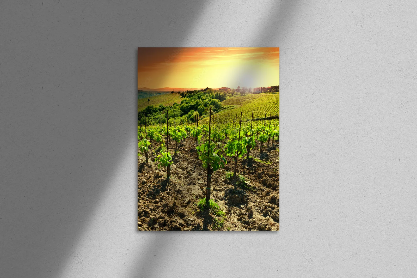 Letnie wino w słonecznych barwach Toskanii