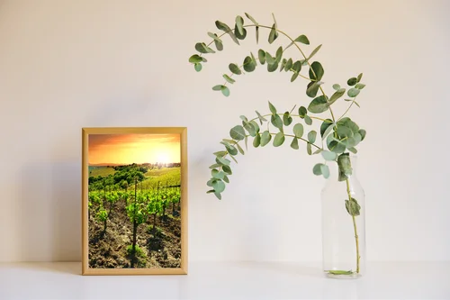 Letnie wino w słonecznych barwach Toskanii