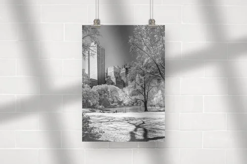 Central Park: Miejsce spokoju w sercu miasta