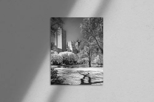 Central Park: Miejsce spokoju w sercu miasta