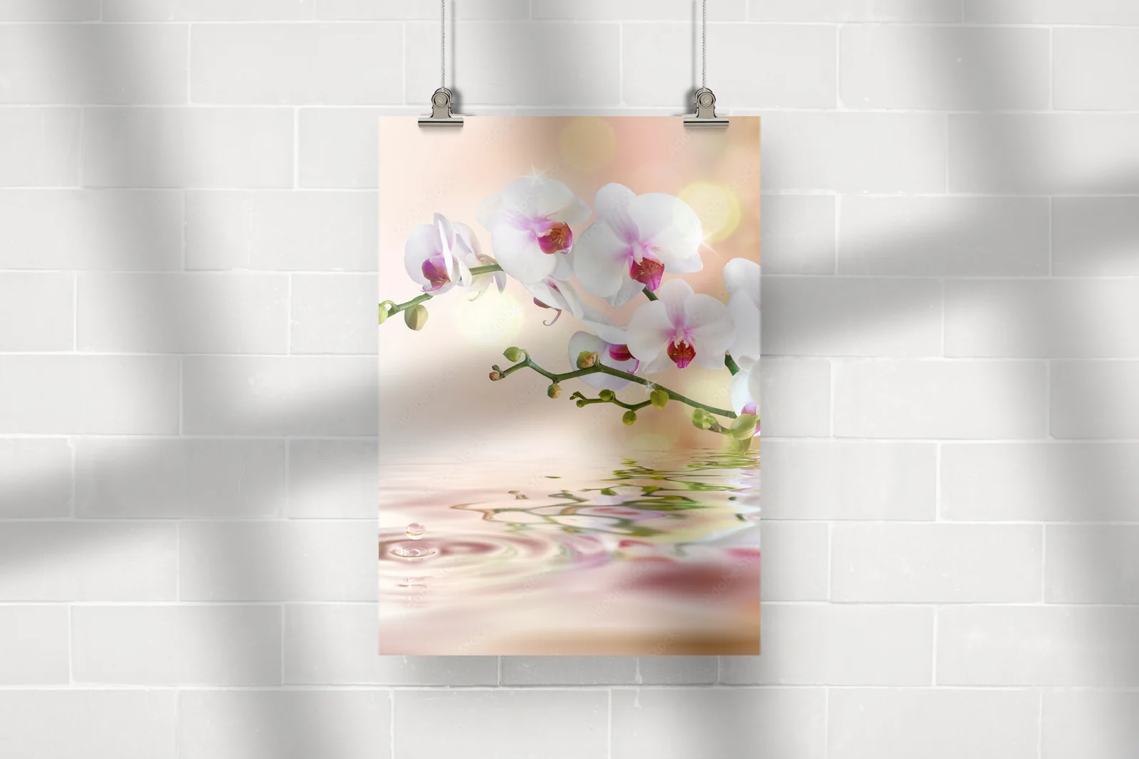 Elegancja białych orchidei na wodnych falach