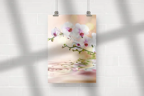 Elegancja białych orchidei na wodnych falach