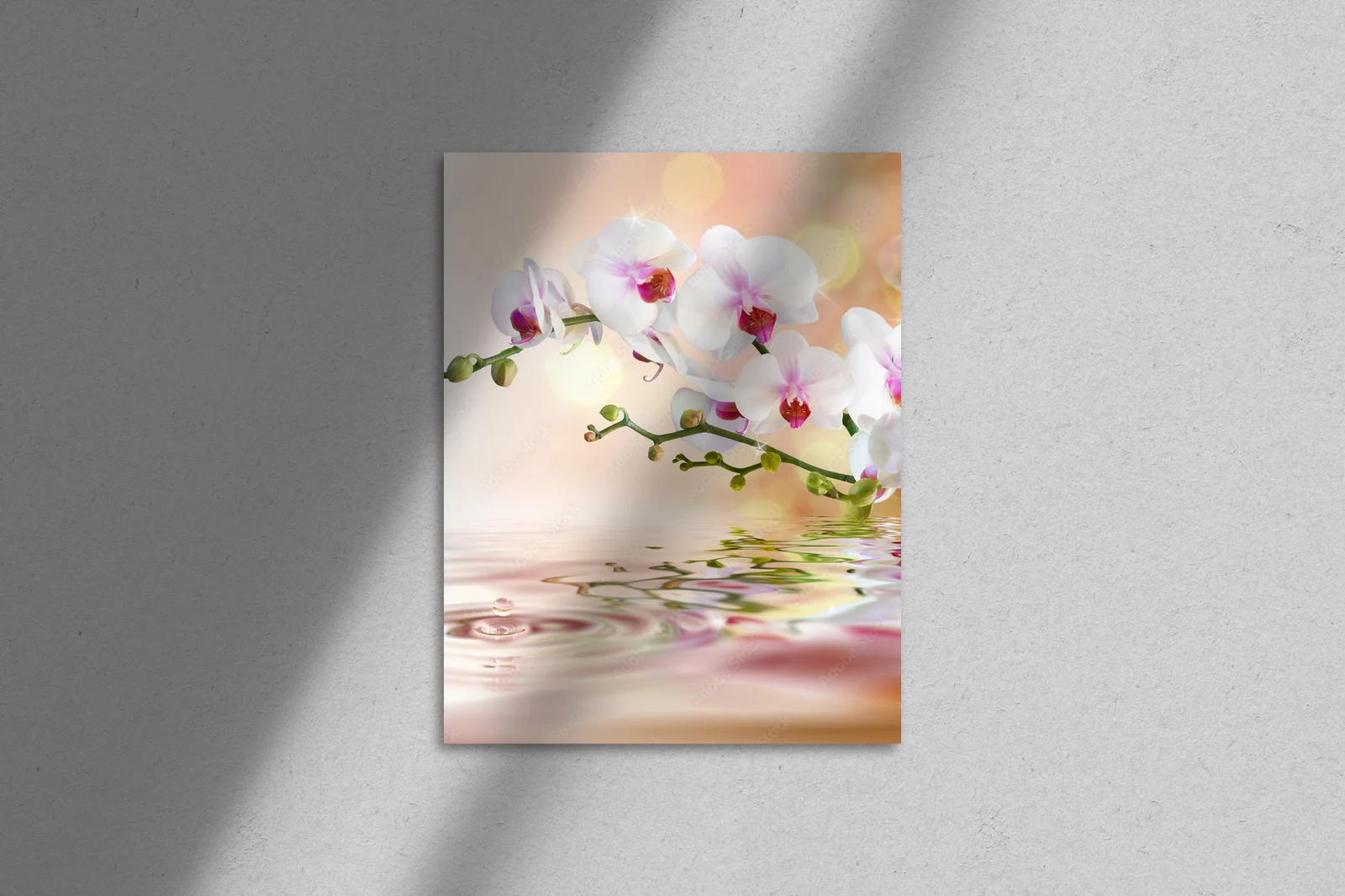 Elegancja białych orchidei na wodnych falach