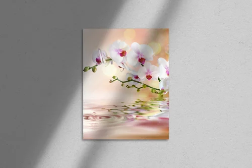 Elegancja białych orchidei na wodnych falach