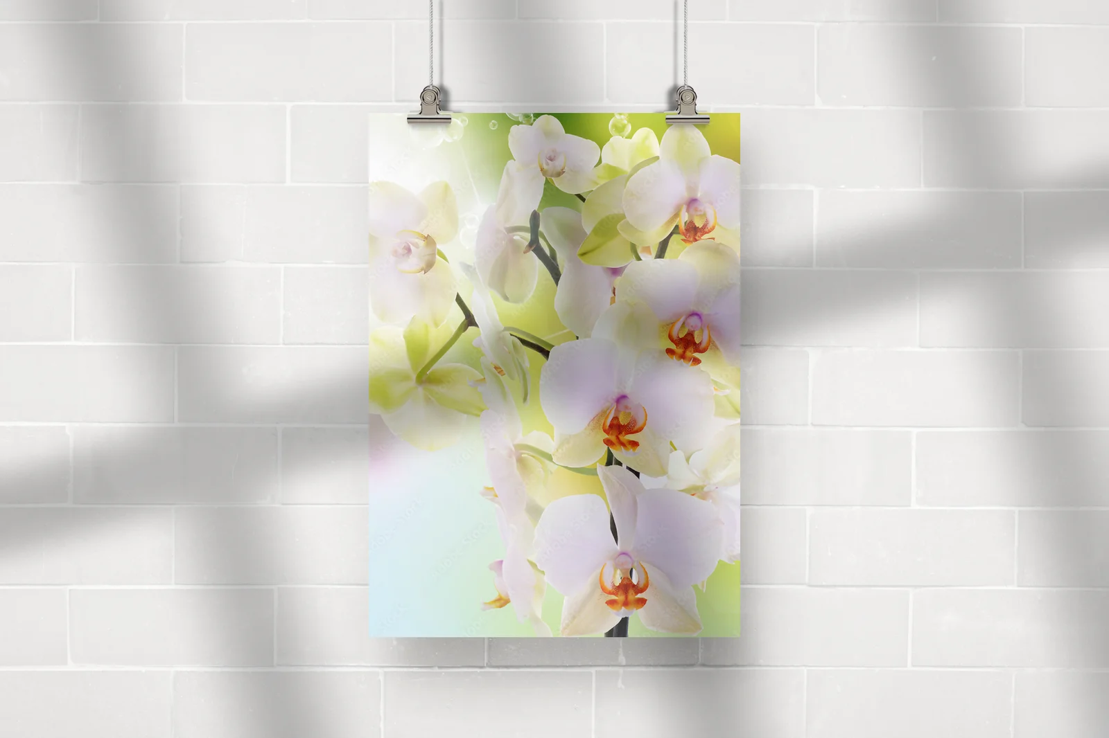 Orchidee i ich delikatna, kwitnąca elegancja