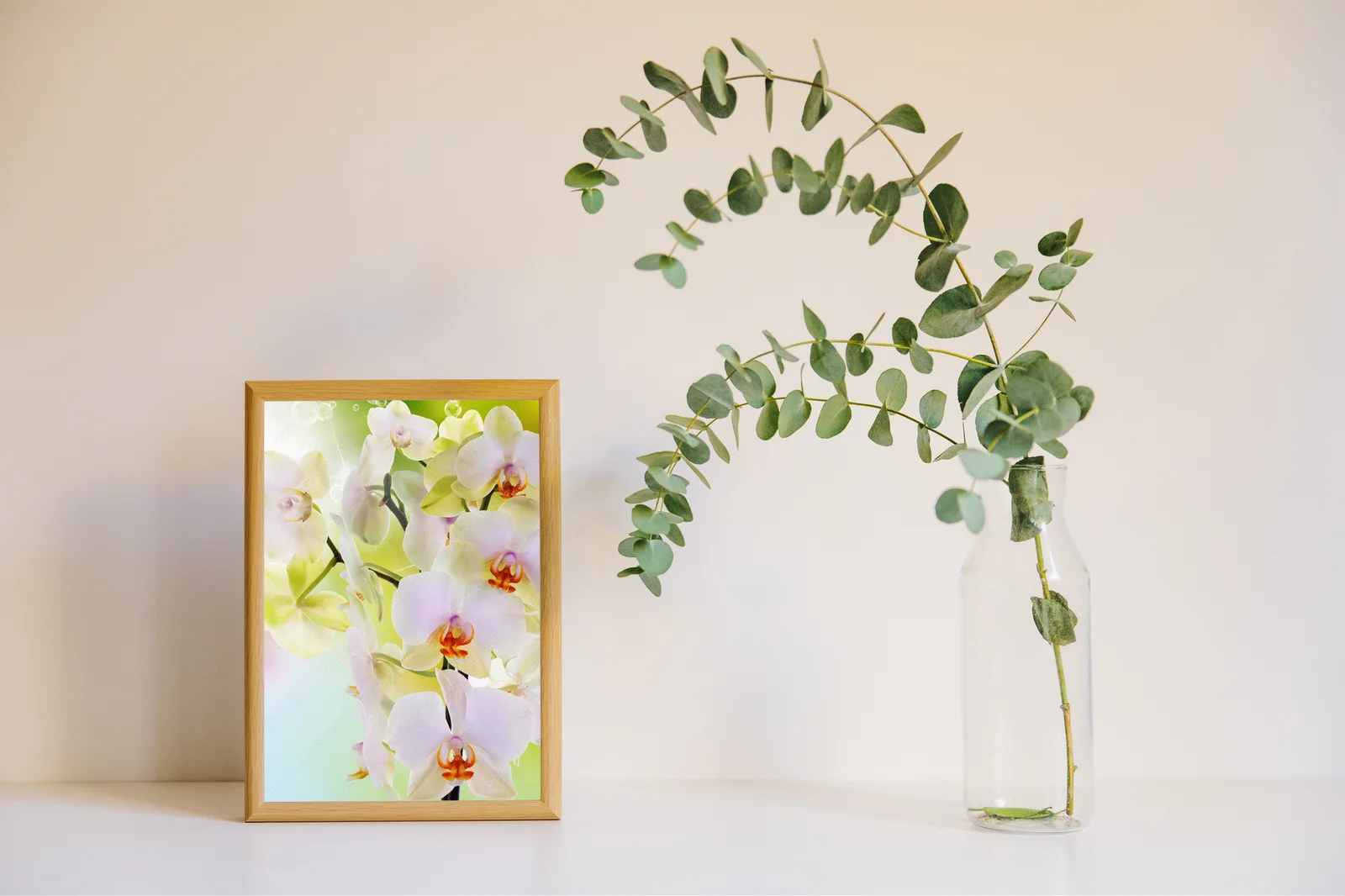 Orchidee i ich delikatna, kwitnąca elegancja