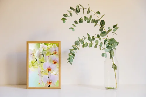 Orchidee i ich delikatna, kwitnąca elegancja
