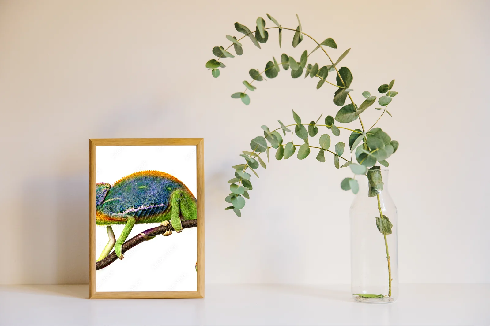 Zjawiskowy chameleon w białym blasku