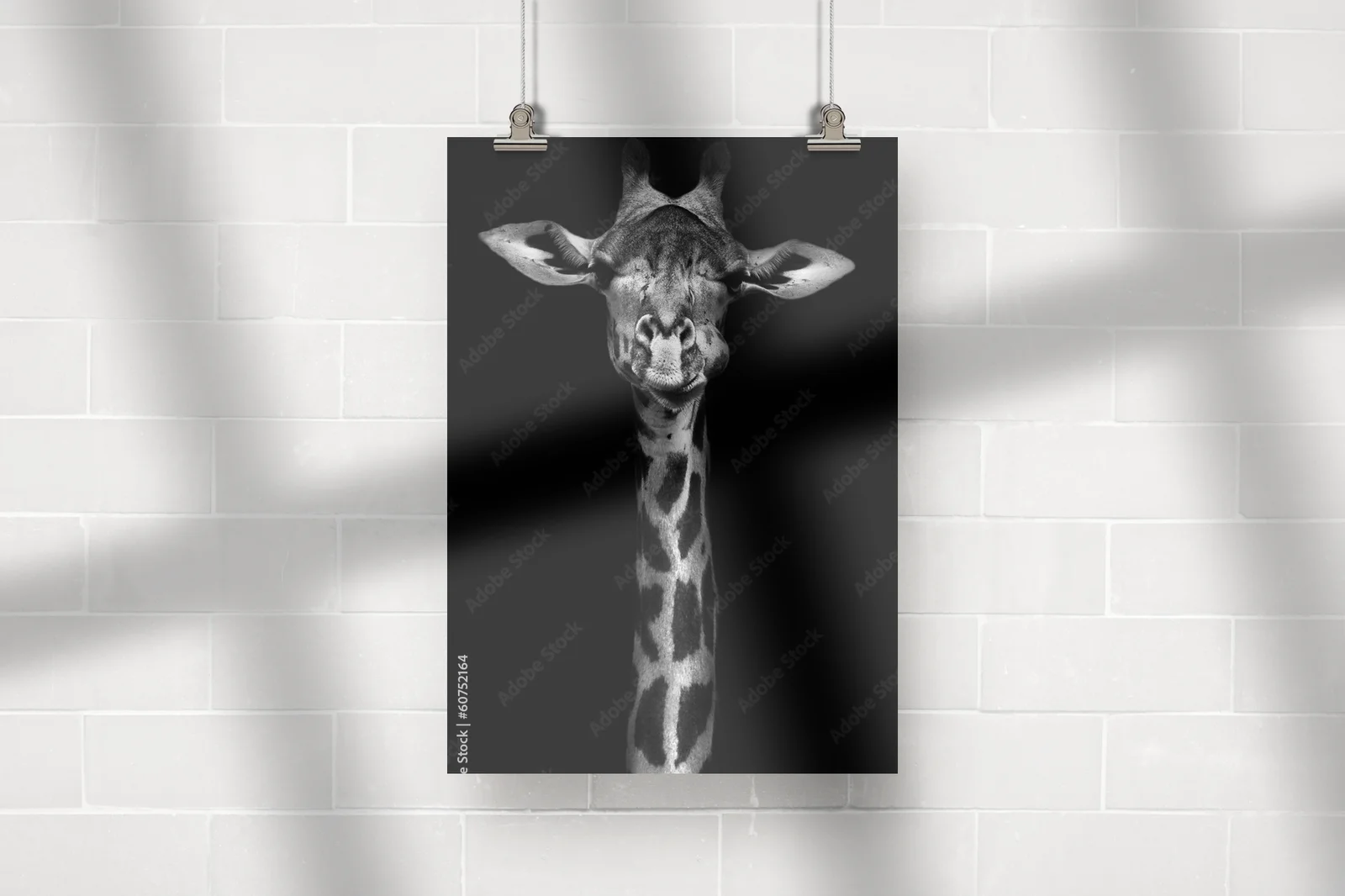 Elegancka czarno-biała giraffa w dzikiej naturze
