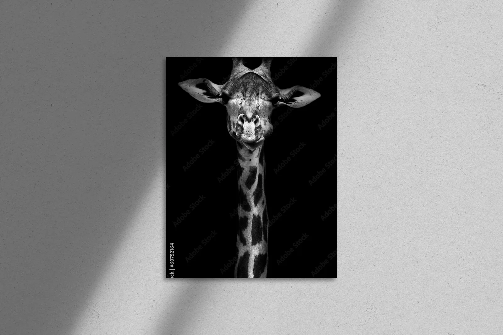 Elegancka czarno-biała giraffa w dzikiej naturze