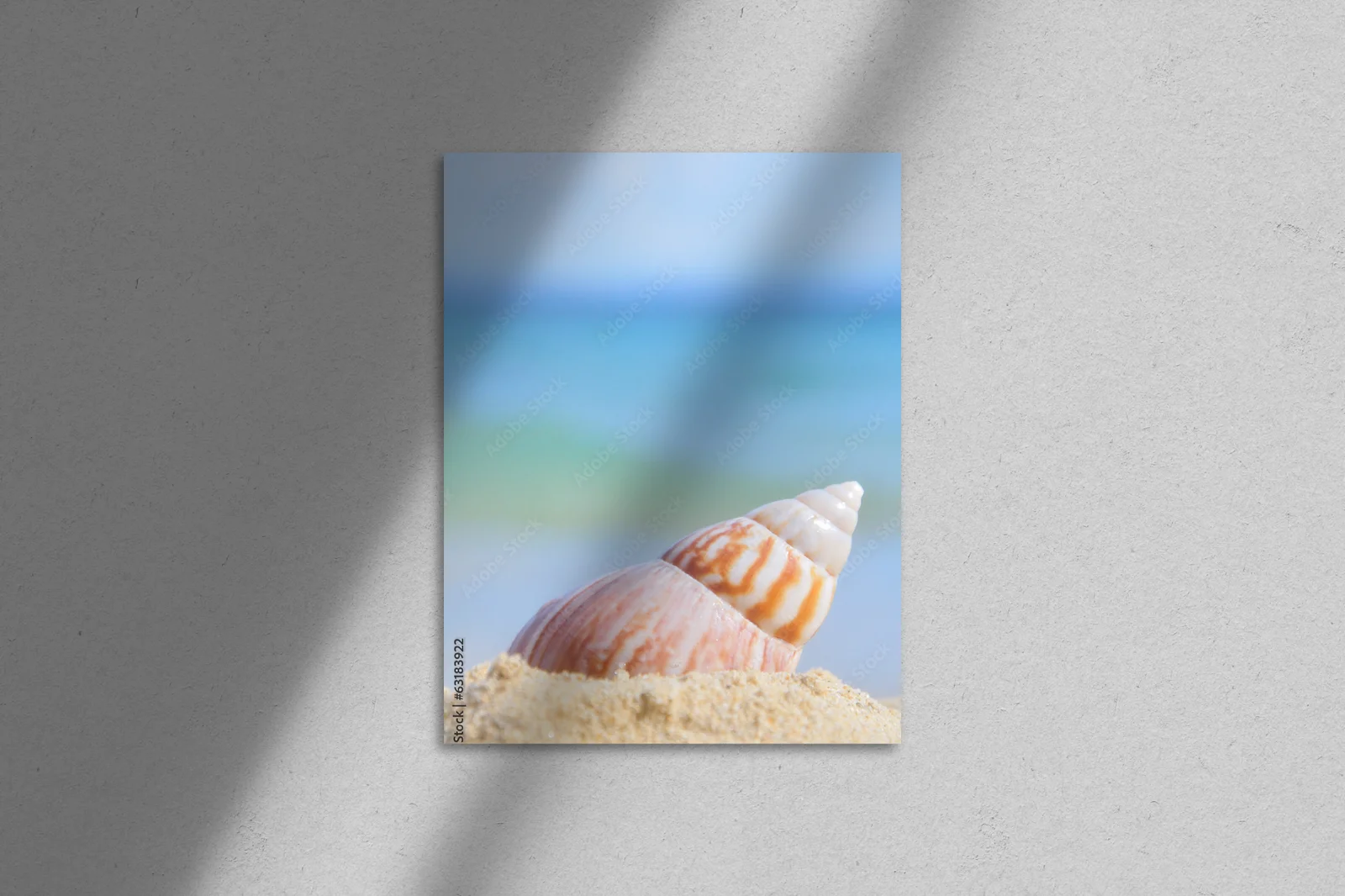 Urokliwa muszla na piaszczystej plaży