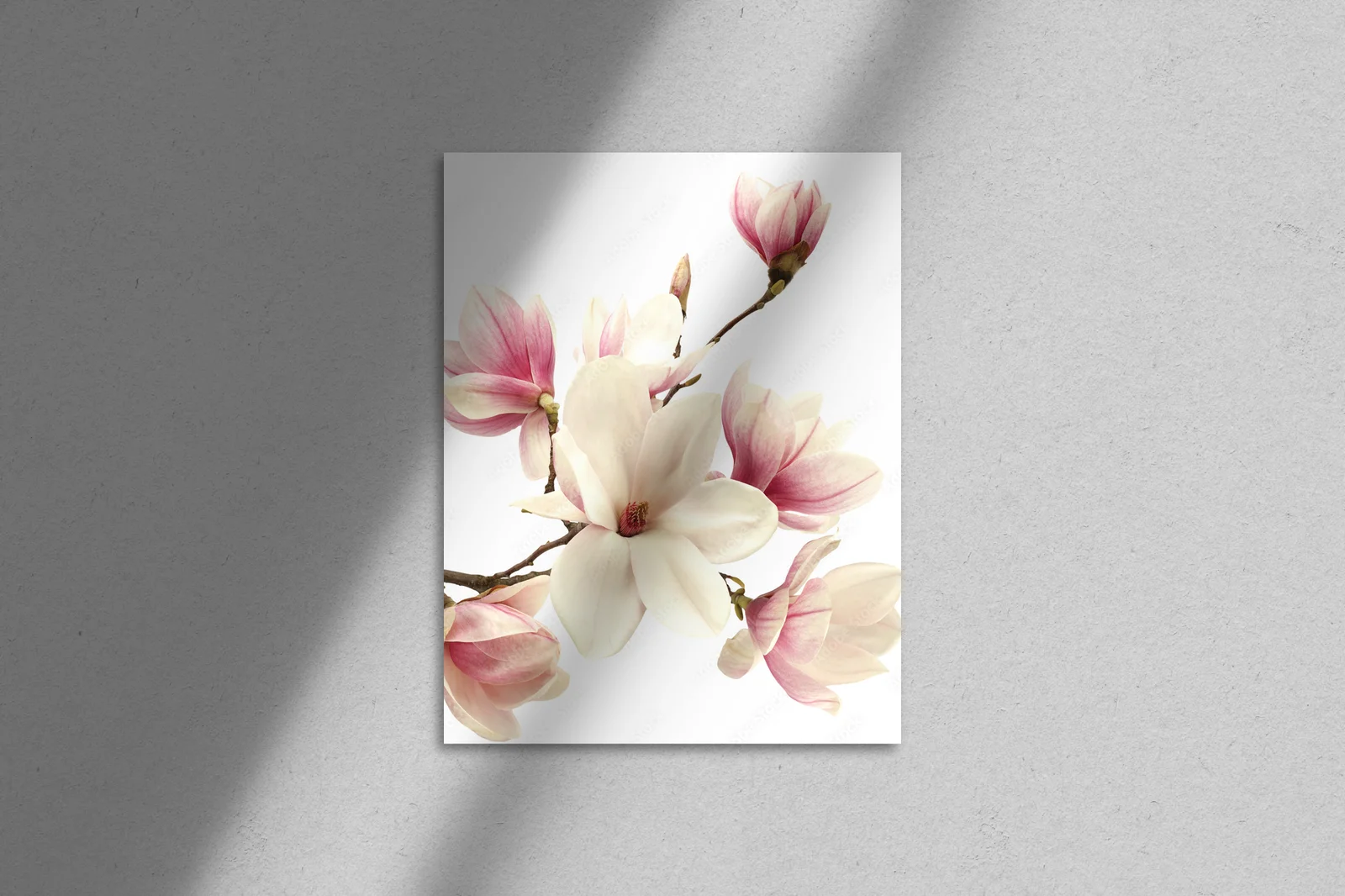 Delikatne kwiaty magnolii w białej oprawie