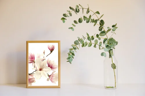 Delikatne kwiaty magnolii w białej oprawie