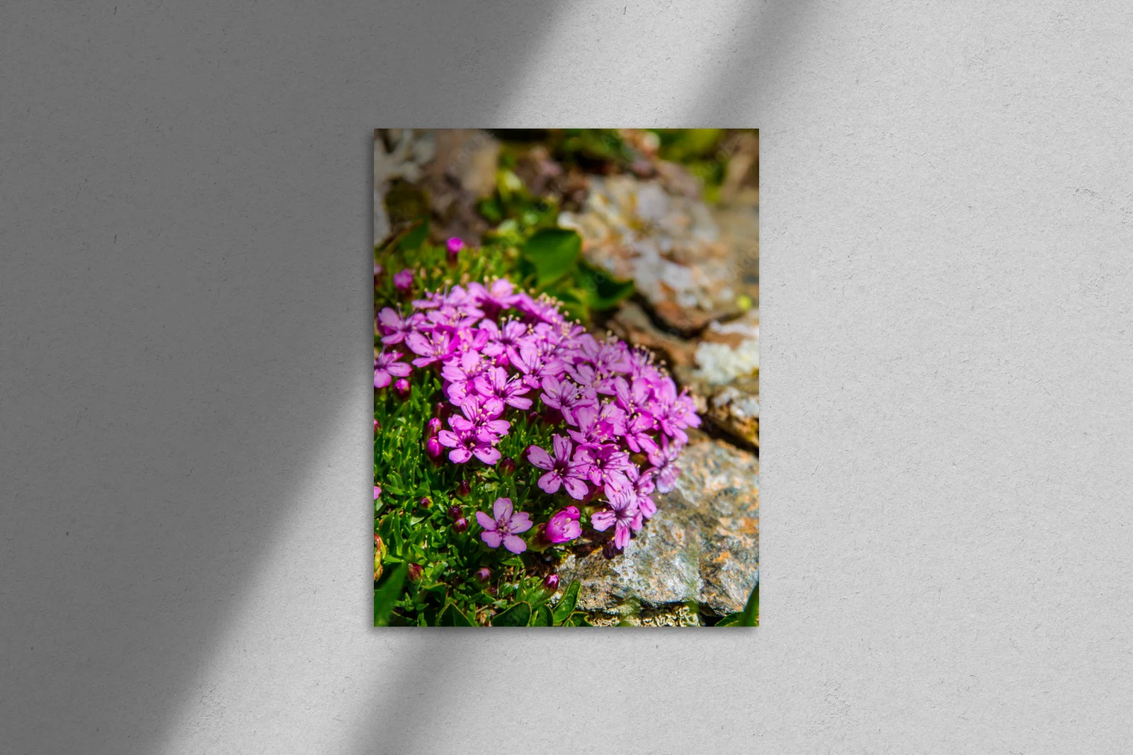 Botaniczny raj w odcieniach zieleni i purpury
