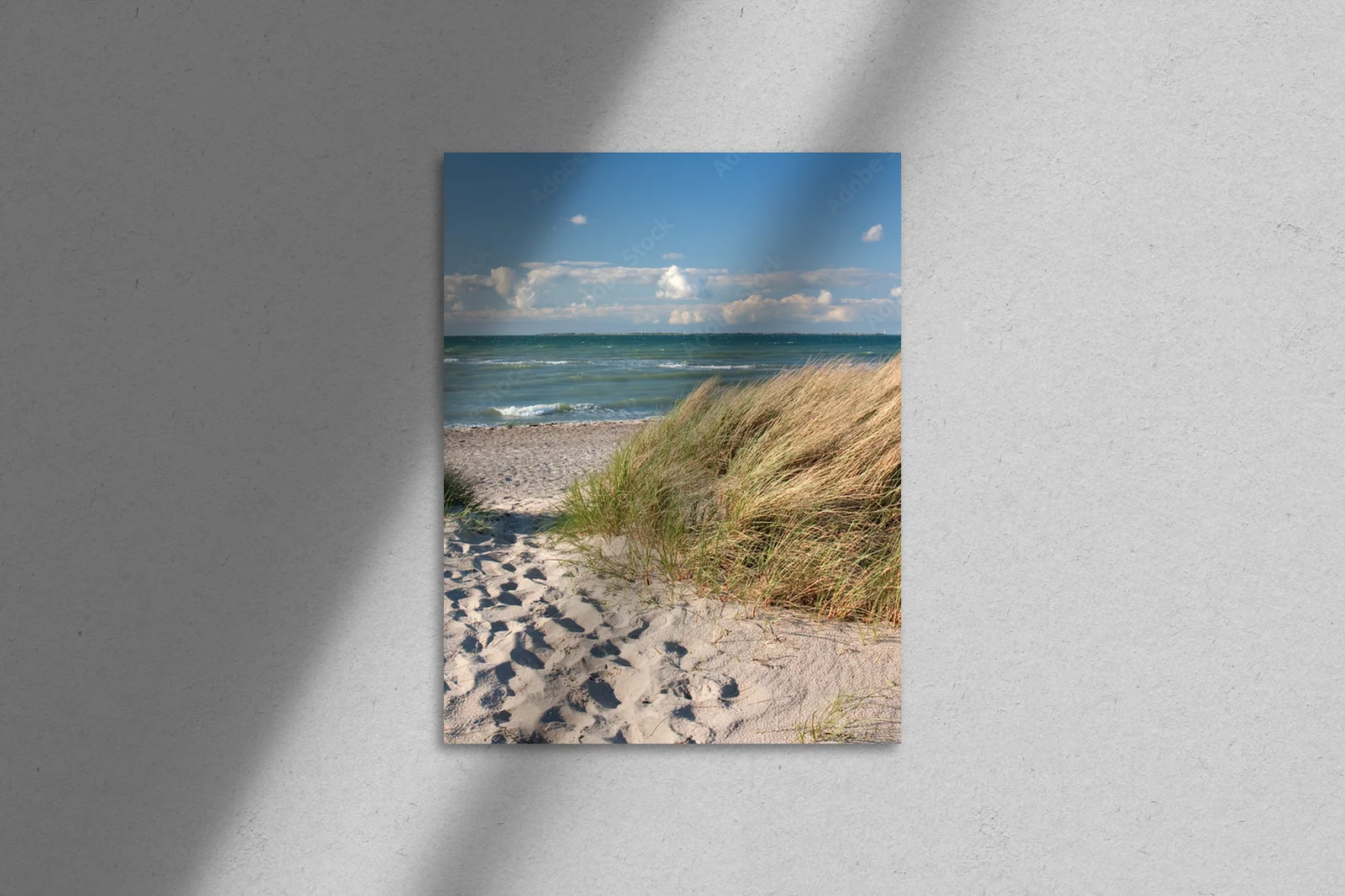 Błękitne Ścieżki Przez Duńskie Dune w Heiligenhafen