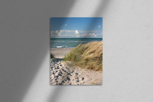 Błękitne Ścieżki Przez Duńskie Dune w Heiligenhafen