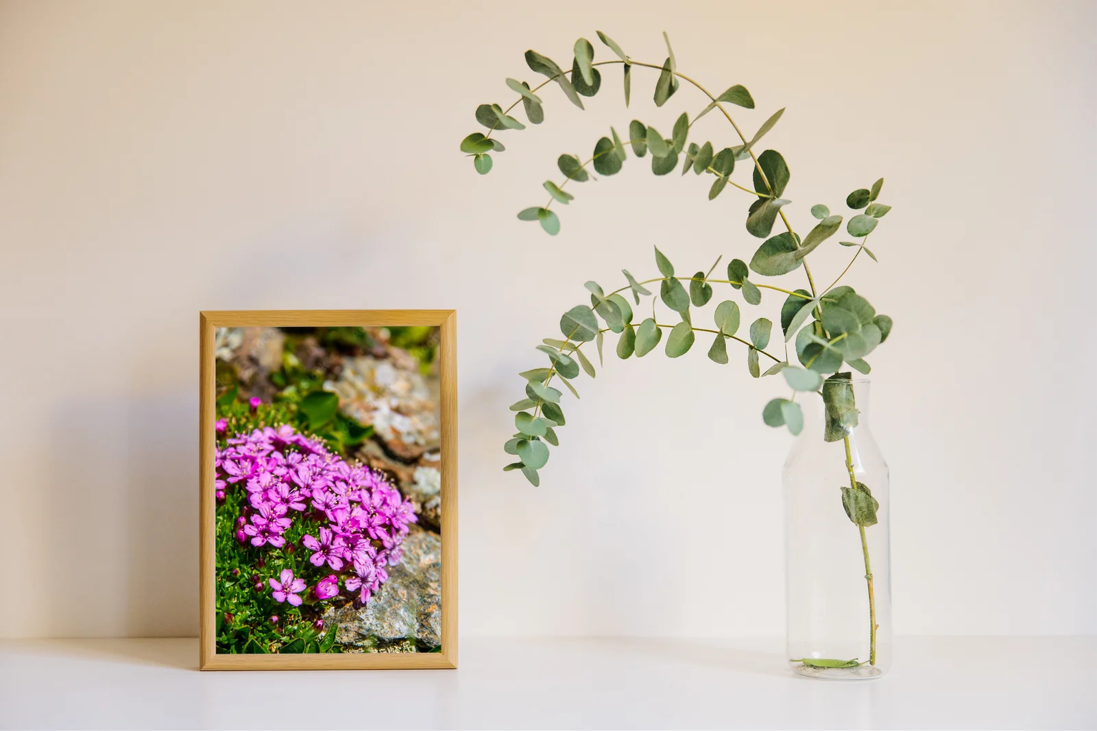 Botaniczny raj w odcieniach zieleni i purpury