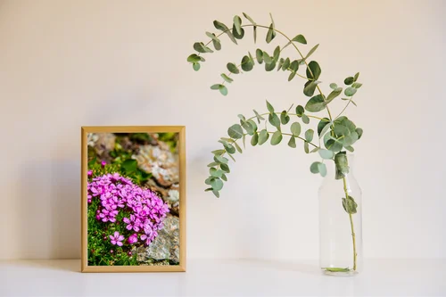 Botaniczny raj w odcieniach zieleni i purpury